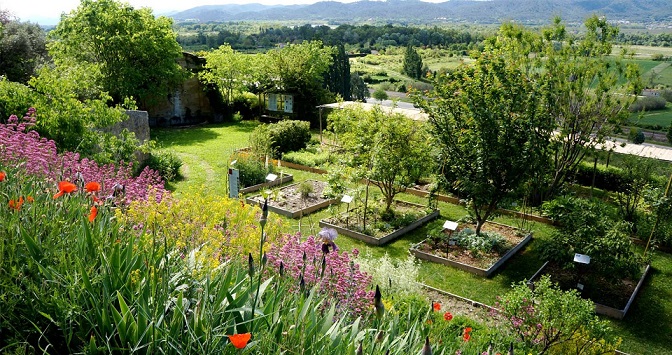 Image Jardin conservatoire des plantes tinctoriales