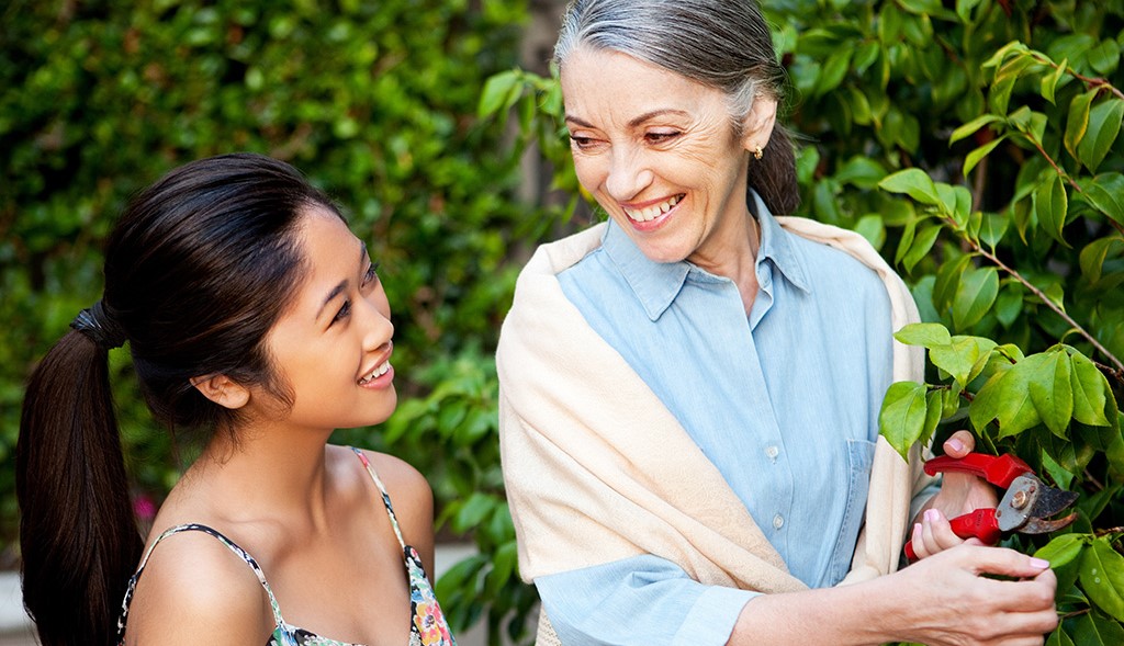 Image La Cueillette d’Alphonse