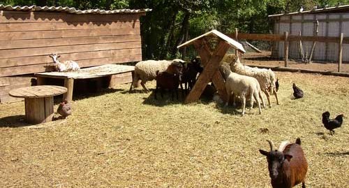 Image La Petite Ferme