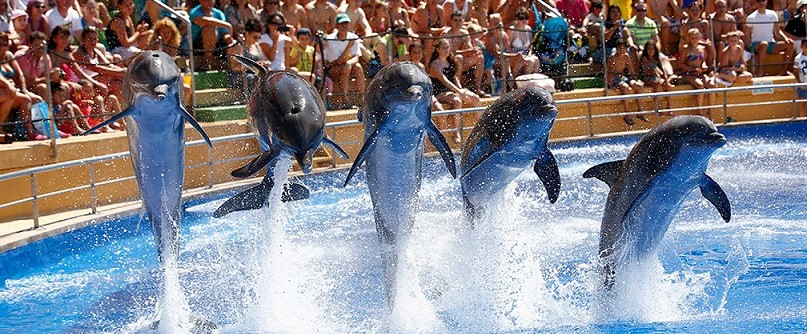 Image Marineland Catalogne
