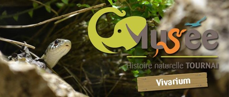 Image Musée d'histoire naturelle et vivarium