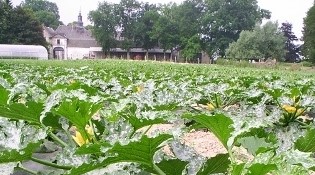 Image La ferme Destexhe & Fils