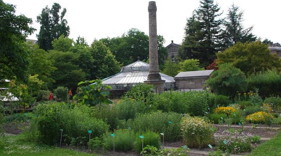 Image Jardin botanique de l'université de Strasbourg