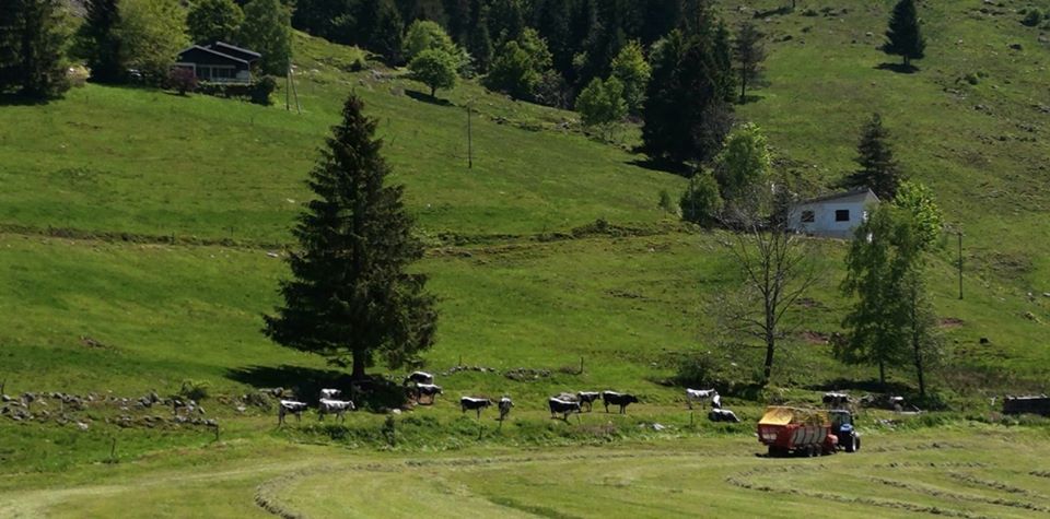 Image La ferme du Saichy