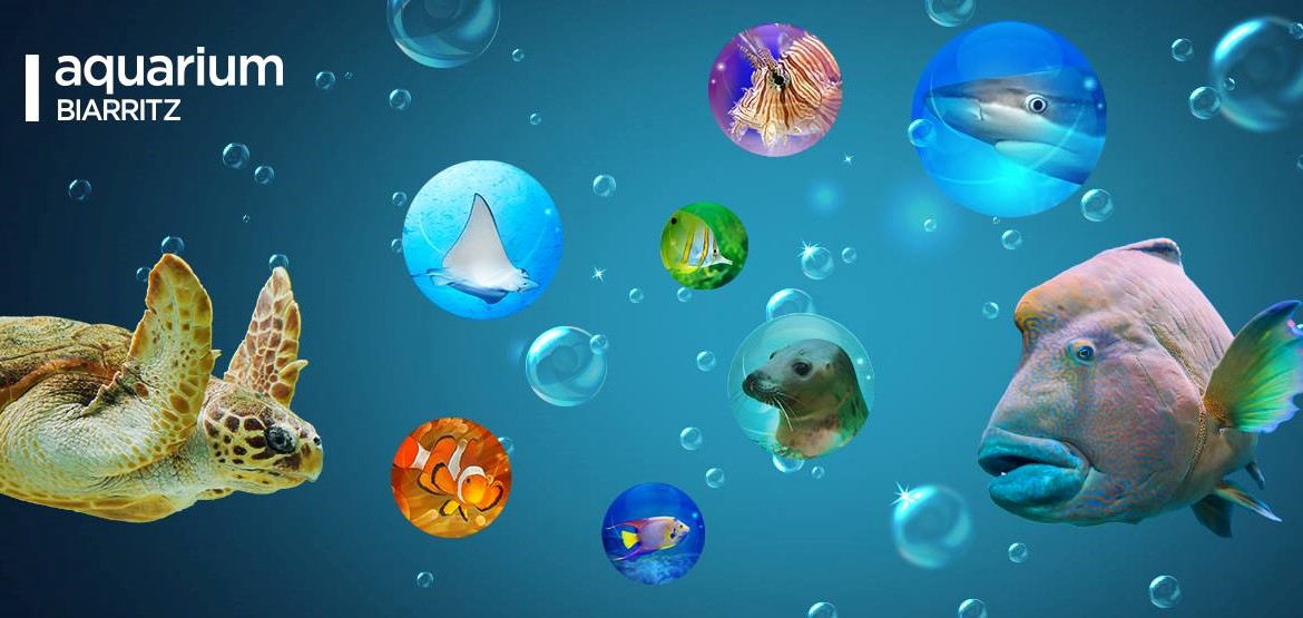 Image Aquarium de Biarritz