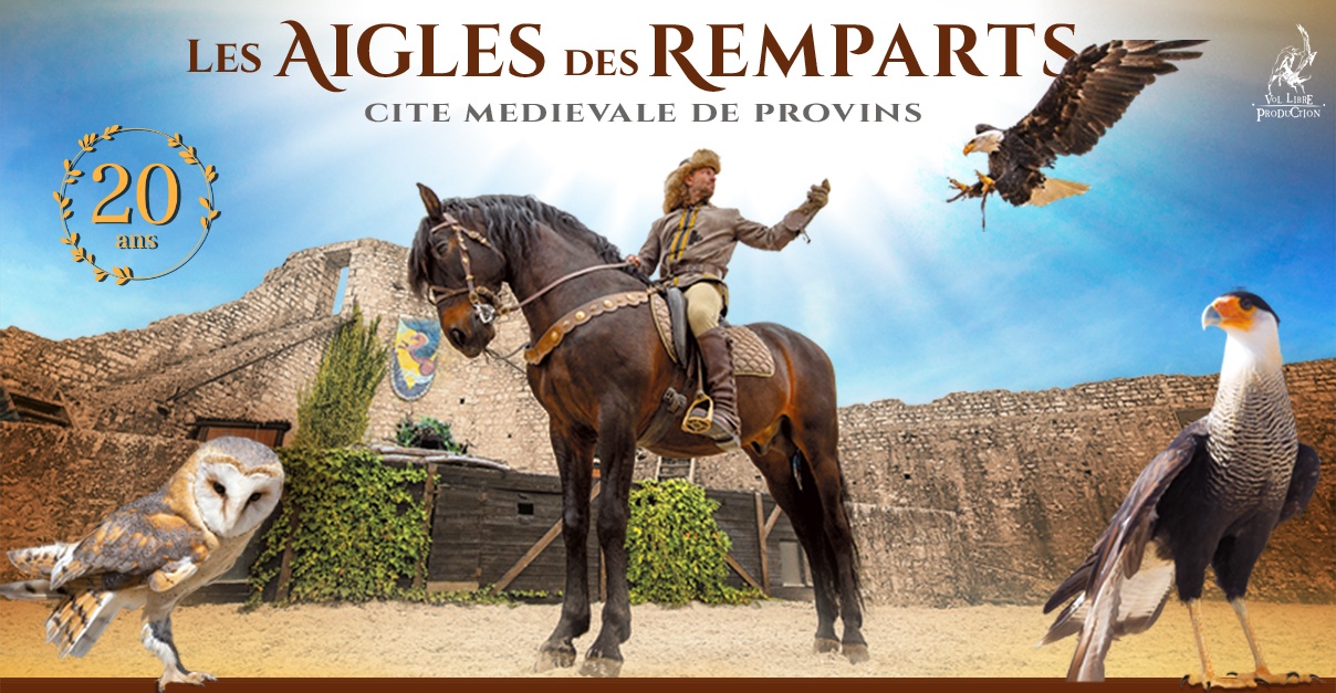 Image Les Aigles des Remparts