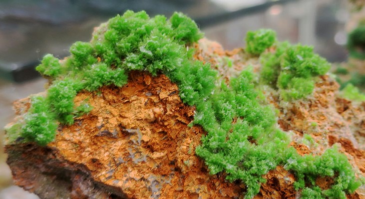 Image Centre de Géologie Terrae Genesis