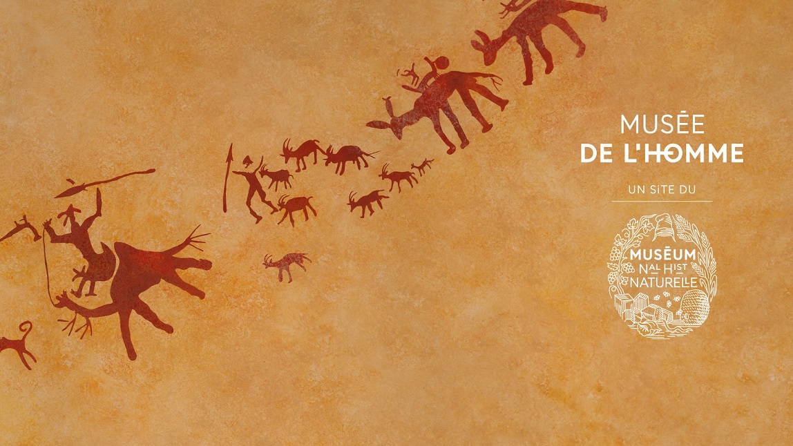 Image Musée de l'Homme