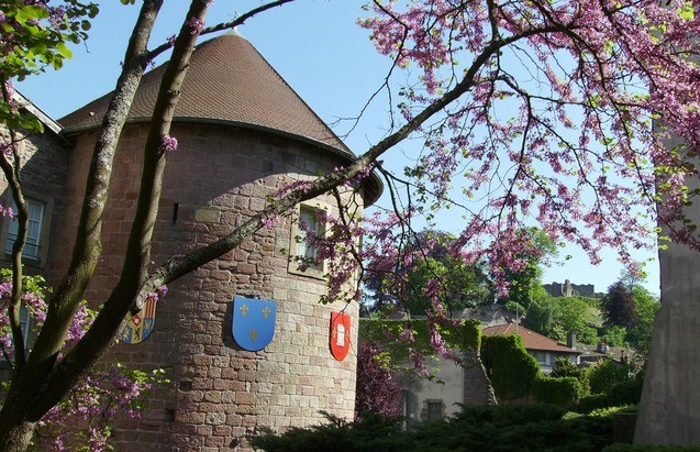 Image Musée du Chapitre